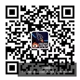梅德维德夫,诚挚请求,面对面致歉,澳门新葡京官网,澳门新葡京官网App,澳门新葡京官网下载,澳门新葡京官网登录,澳门新葡京官网平台